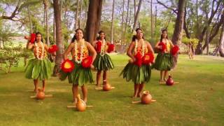 Beautiful Hula  Polynesian Dancers [upl. by Eisseb]