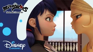 😲 Złodziejka  Miraculous Biedronka i Czarny Kot  Disney Channel Polska [upl. by Sola177]