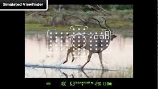 Canon EOS 5D Mark III  Tutorial AI Servo Adjustments 314 [upl. by Athalee]