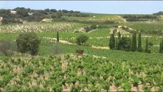 chateauneuf du pape [upl. by Oren319]