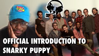 First Time Reaction  Snarky Puppy  Lingus  THEY ARE LIKE THE ROOTS [upl. by Llenol]