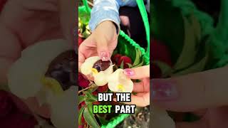 SATISFYING Lychee Peeling satisfying shorts asmr [upl. by Ehcram]