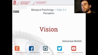 Vision  Biological Psychology 33 [upl. by Christianson]