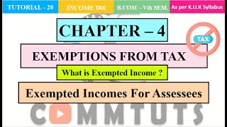 Exempted Incomes  NonTaxable Income Meaning Exempted Incomes For Assessees [upl. by Grados484]