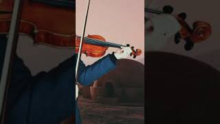 Playing “Across The Stars” on Tatoine Violin Cover Shorts [upl. by Natala]