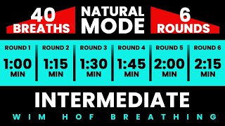 Intermediate Wim Hof Guided Breathing  6 Rounds  40 Breaths  Pure Breathwork No Frequencies [upl. by Llehsem133]