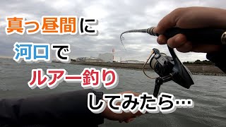 真っ昼間に河口でルアー釣りしてみたら…【2023年2月25日】 [upl. by Beach404]