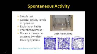 Locomotor Behavioral Assessments [upl. by Trocki]