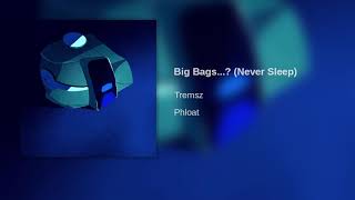 Big Bags  McJuggerNuggets My Virtual Escape Music Never Sleep by Tremsz [upl. by Nylessej]