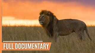 Lions Leopards Hyenas  Masters of the African Night  Full Wildlife Documentary [upl. by Eitsirk]