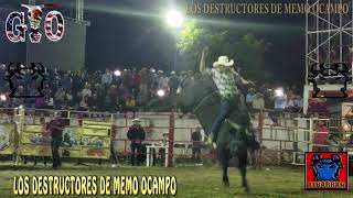 REY DEL AIRE CON CHARRO INCORREGIBLE EN PEDERNALES MICHOACAN [upl. by Kylstra]