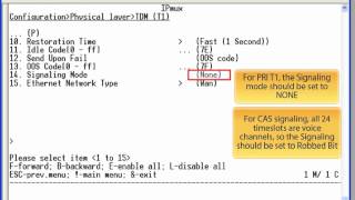 RAD IPmux Configuration Guide  North America [upl. by Edylc]