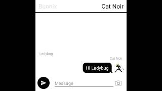 Ladybugs mistake LadynoirAdrinette texting story [upl. by Eniamrej]