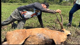 CHARLLES E TIRINGA SE EMOCIONAM E FAZEM APELO PARA QUE NÃO MATEM MAIS OS SERVOS DO PANTANAL 🥹 [upl. by Ojibbob883]