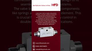 VRDD  PILOT CHECK VALVE FOR DOUBLEACTING CYLINDER WITH DIN2353 CONNECTIONS hydraulicvalve hfd [upl. by Lenehc]