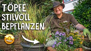 Herbstliche Bepflanzung für Garten amp Balkon 🌸  Diese Pflanzen amp Gräser solltest du kombinieren [upl. by Ailecra]