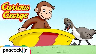 Georges Lucky Ducky Day  CURIOUS GEORGE [upl. by Ilke]