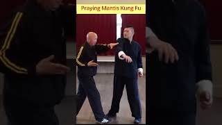 Unleash the Power of Praying Mantis Kung Fu Mastering Two Devastating Punching Techniques [upl. by Akino692]