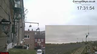 LIVE Great Yarmouth Norfolk Wild window birdcam amp Weather [upl. by Wilton399]