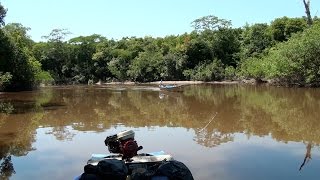 Boat Rides in the Amazon Jungle [upl. by Nacim871]