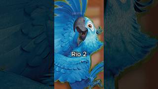 Você percebeu que no filme Rio 2 [upl. by Baerl]