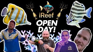 New Saltwater Aquarium Shop Tour UK  iReef Rochdale [upl. by Oby]