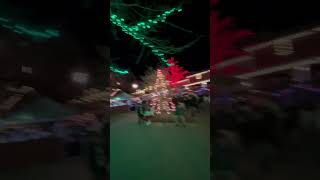 Christmas Lights and Tree Lights 111624 [upl. by Acsisnarf]