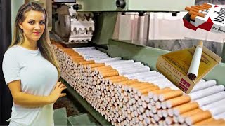 Inside Automated Cigarette and Cigar Factories [upl. by Madriene]