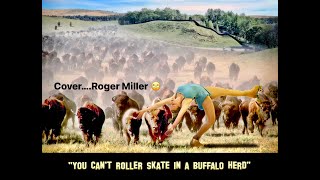 You Can’t Rollerskate In A Buffalo Herd 🙄 [upl. by Yelnats]