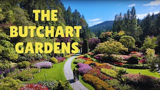 The Butchart Gardens in 2024 With Night Illuminations [upl. by Ona]