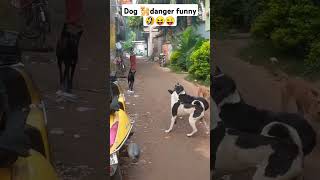 Dogs🐕 funny denger sounddog funny comedy 🤣short viral funny video dog comedy 🤣 [upl. by Yazbak867]