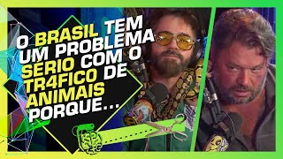 CONVIDADO LEVA VÁRIAS COBRAS E LAGARTOS PRO ESTÚDIO  RICHARD RASMUSSEN E LEANDRO SILVEIRA [upl. by Phyllida]