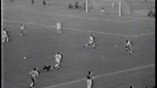 World Cup 1962 Brazil vs England Dog Invades Pitch [upl. by Cari56]