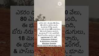 Land saleagriculturelandforsaleintelanganaagriculturelandforsaleAPagriculturelandforsalekarnataka [upl. by Letnwahs]