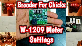 W1209 Temperature Meter All Setting  Brooder For Chicks  Full Detailed Video Must Watch By  HB [upl. by Mitzl]