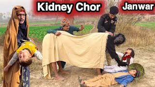 Kidney Chor Janwar New Funny Video 2024 by Tuti Gull Official [upl. by Ardnahc585]