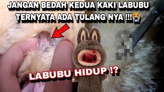 JANGAN BEDAH KEDUA KAKI LABUBU TERNYATA ADA TULANG NYA 😭 LABUBU HIDUP [upl. by Erastes]