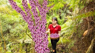 WOMEN Harvest Eggplant Roots cling to the tree Go to market sell Harvest and Cooking [upl. by Publia74]