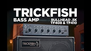 Trickfish Bass Amp Review [upl. by Atteirneh]