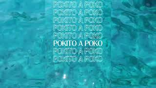 Chambao  Pokito a Poko Edit [upl. by Galven606]