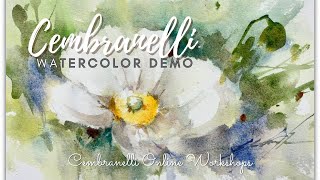 White Poppy Watercolor Demonstration [upl. by Oijimer439]