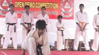 chinese kenpo karate demo [upl. by Nevaed749]