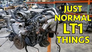 Bad Corvette Camaro Trans Am Gen2 LT1 350 Teardown Not The Problem I Was Told [upl. by Ylas562]