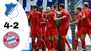 TSG Hoffenheim VS Bayern München 42 Highlights  Bundesliga 20232024 [upl. by Euqimod]