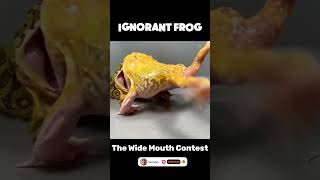 Ignorant Frog  The Wide Mouth Contest animals frog shorts [upl. by Thirzia]