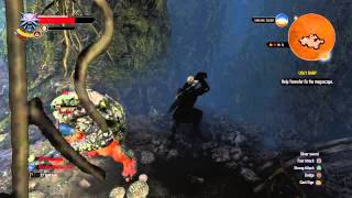 The Witcher 3 Easter Egg Salamandra Assassins [upl. by Llyrehc818]