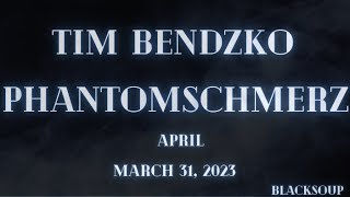 Tim Bendzko  Phantomschmerz Lyrics [upl. by Akinit]