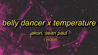 1 HOUR Belly Dancer x Temperature TikTok [upl. by Im583]