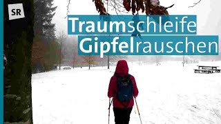 Ausflugstipp WinterWanderung im Nationalpark HunsrückHochwald  Winterzeit im Saarland [upl. by Andie]