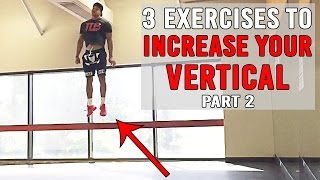 3 Exercises To INCREASE YOUR VERTICAL Pt2  JUMP HIGHER  The Lost Breed [upl. by Russel]